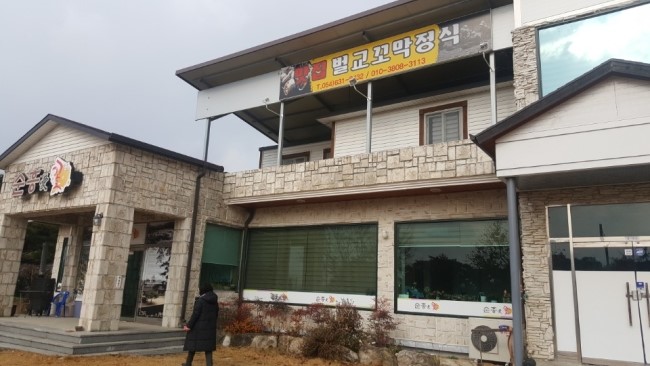 순흥애꽃 이미지