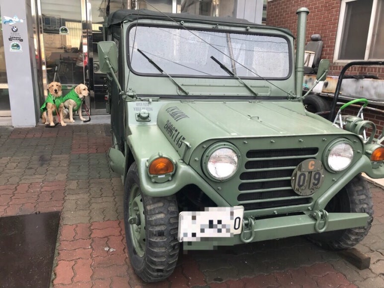 서대문JEEP 이미지