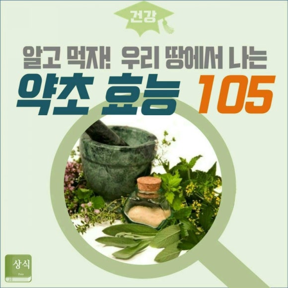 드보라화원 이미지
