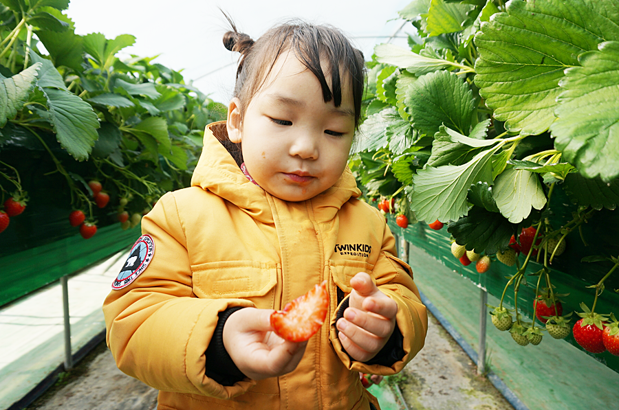 경석농장 이미지