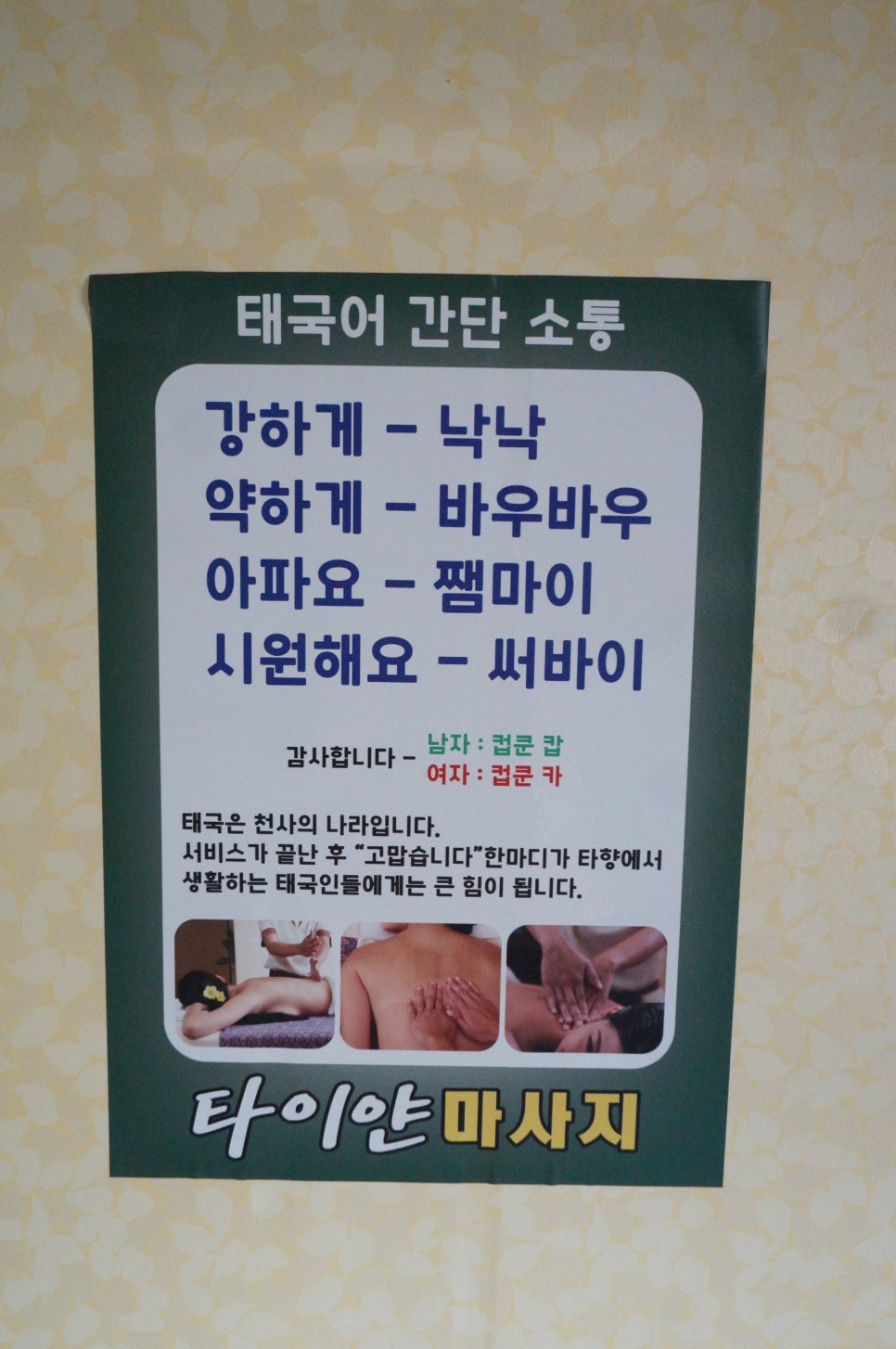 타이얀 이미지