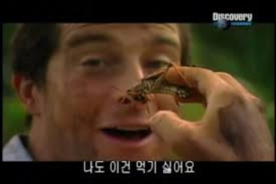 그릴스 이미지
