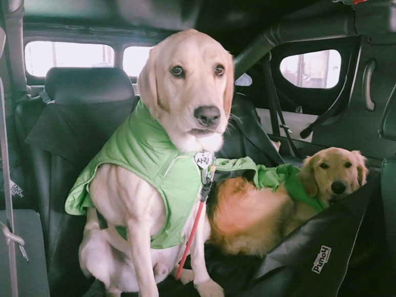 서대문JEEP 이미지