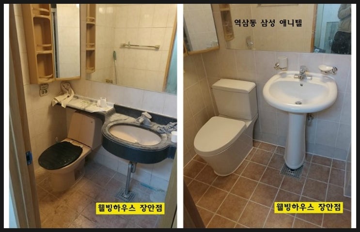 애니텔 이미지
