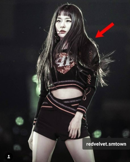 뮤직 플레인 이미지