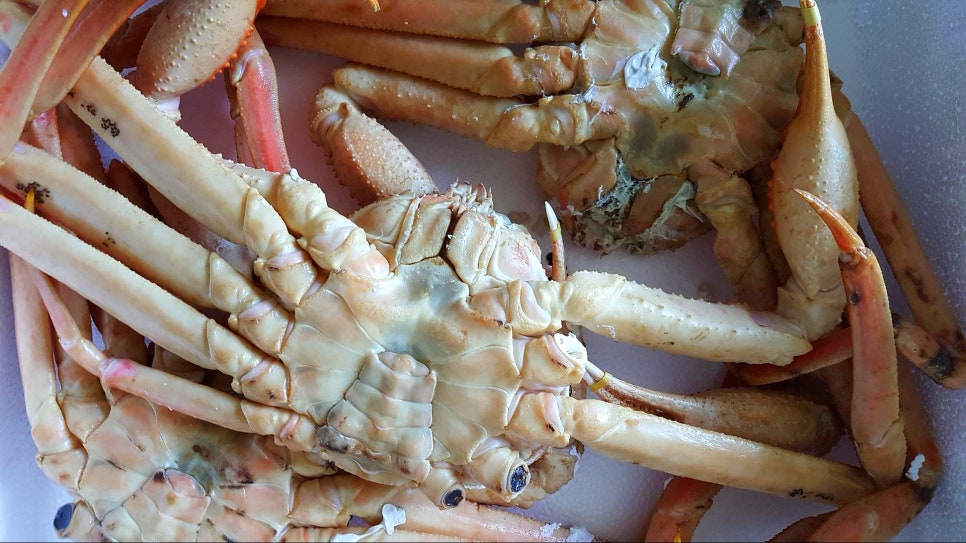동광해상풍력 이미지