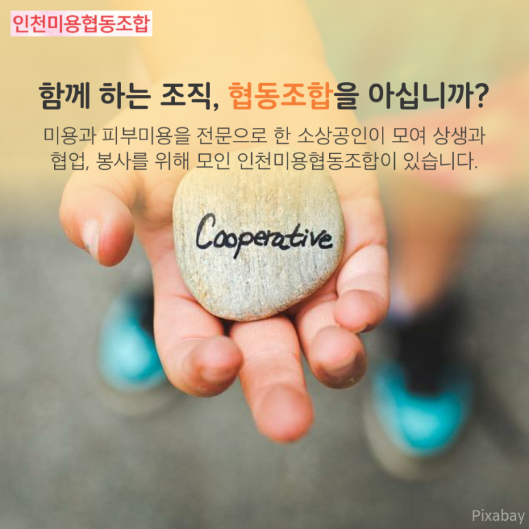 샬롯에스테틱 이미지