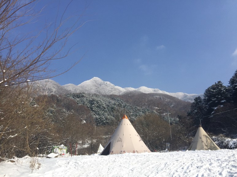 산으로간니모 이미지