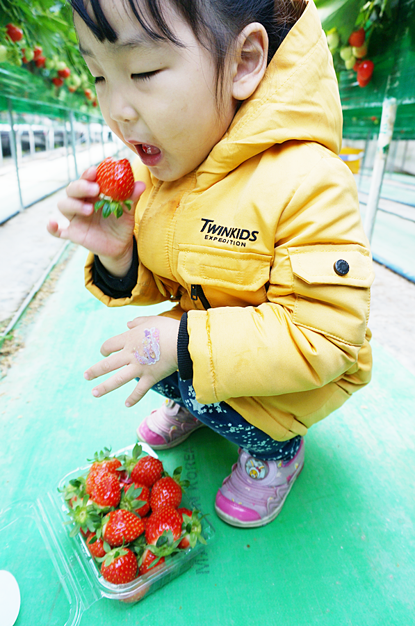 경석농장 이미지