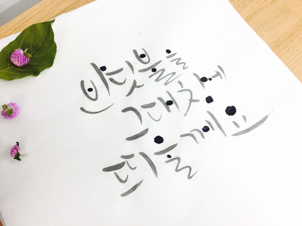 반딧불문구 이미지
