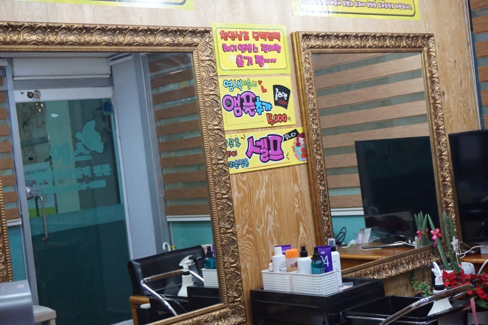예스염색방 이미지