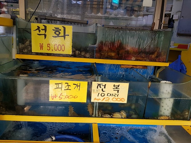 부구수산 이미지