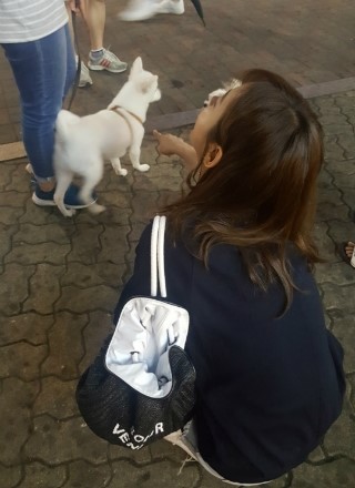 영번지식당 이미지
