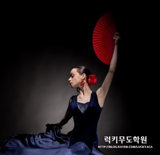 스포츠무도학원 이미지
