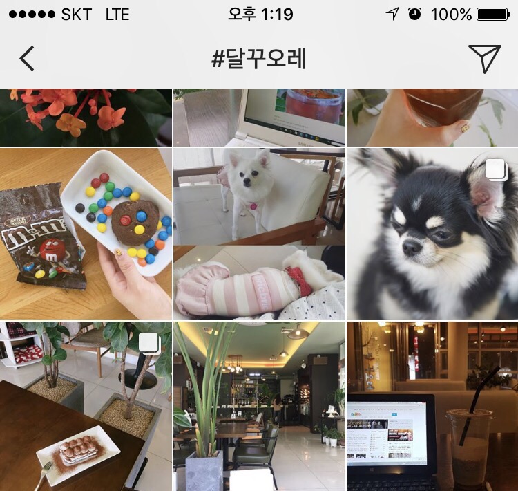 카페꾸오레 이미지