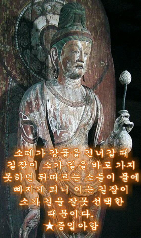 법사커피 이미지