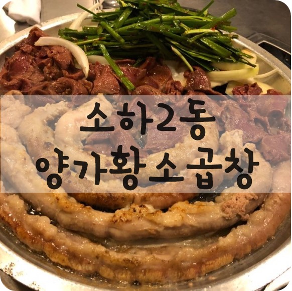 양가황소곱창 이미지