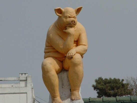 돼지보쓰 이미지