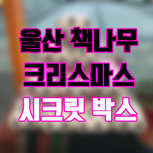 시크릿박스 이미지