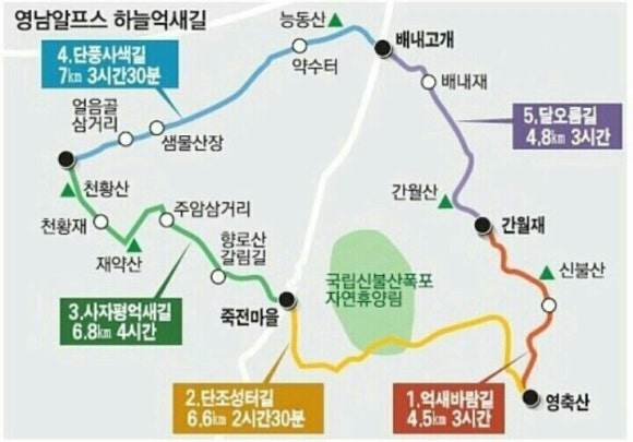 처녀상회 이미지