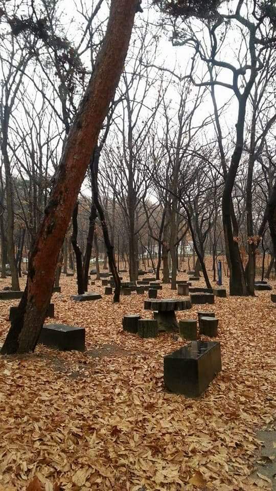 자유기획 이미지