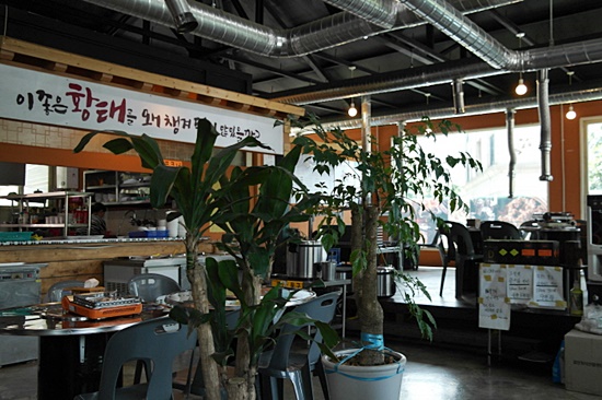 도니마니 이미지