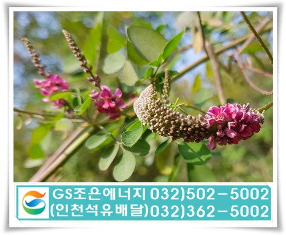 조은석유 이미지