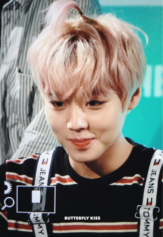 워너클린 이미지