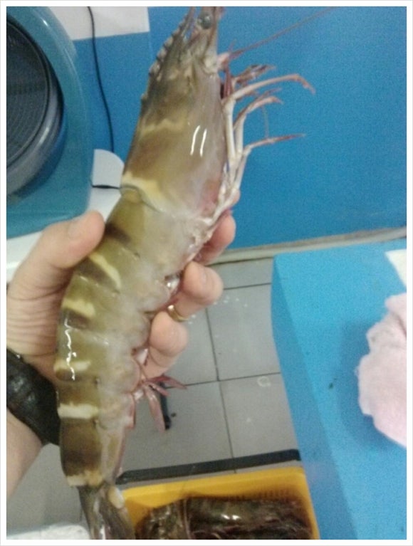 대한냉동시스템 이미지