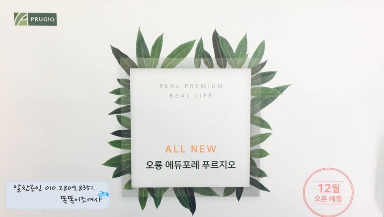조여사 생각대로 이미지