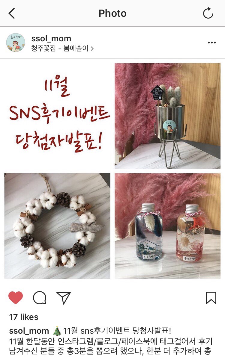 봄에솔이 이미지