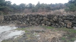 신스버거 이미지
