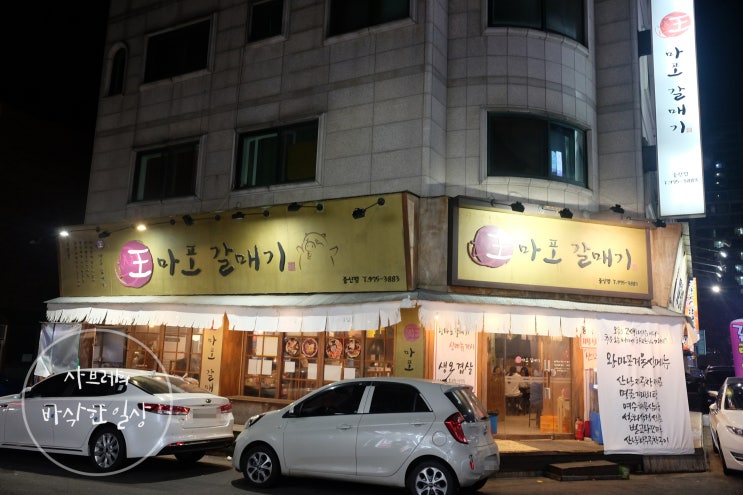 왕마포갈매기 이미지