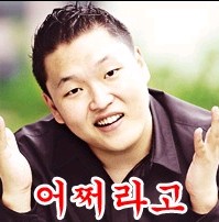 왕마포갈매기 이미지