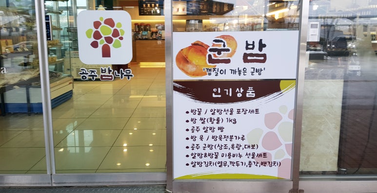공주밤나무 이미지