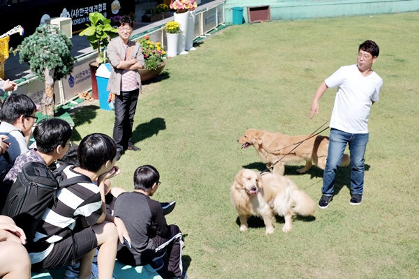 한국동물실용전문학교 이미지