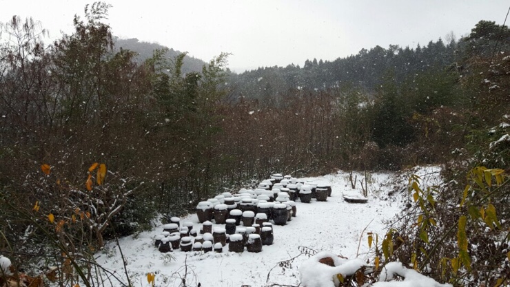 축령산휴림 이미지