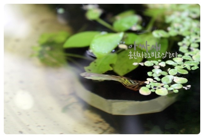 토림공방 이미지