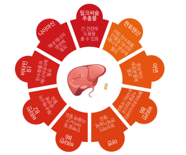 다인내추럴 이미지