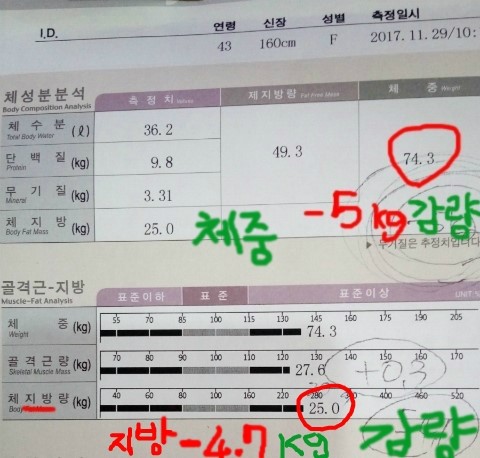 오오다이어트 이미지