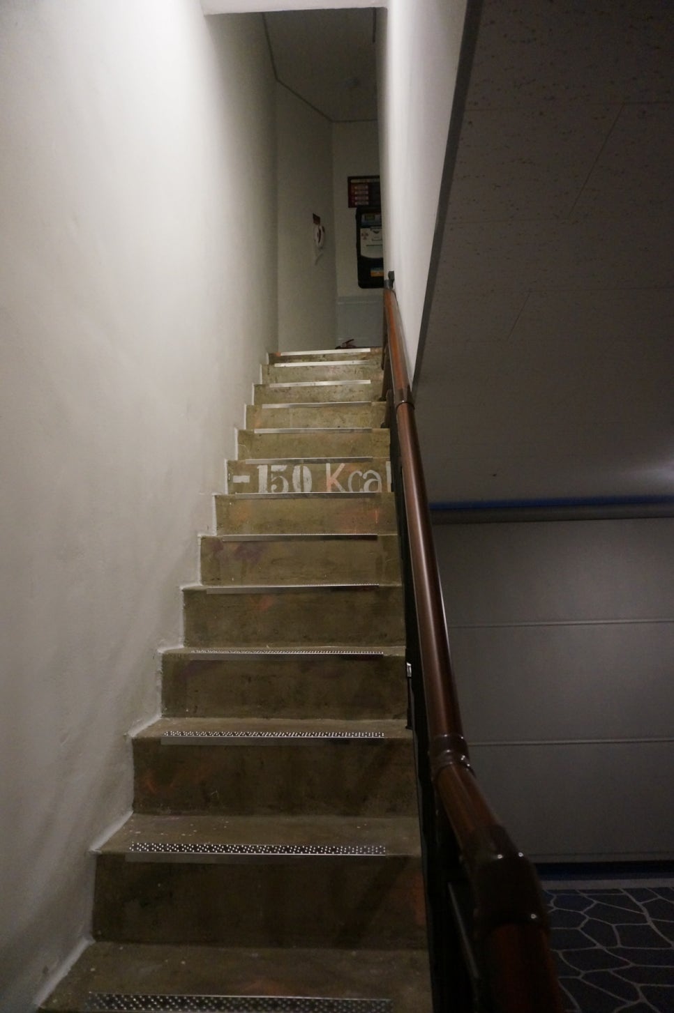 노블무인텔 이미지