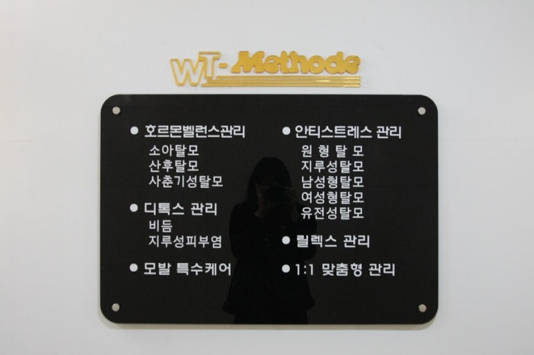 독일WT메소드 이미지
