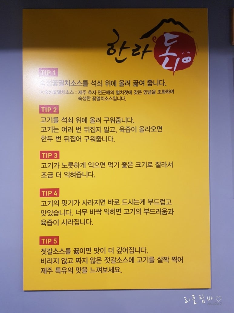 한라도니 이미지