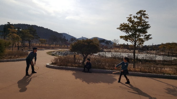 해초동산 이미지