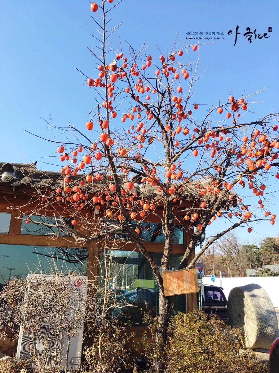오엔푸드 이미지