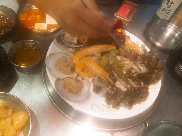왕마포갈매기 이미지