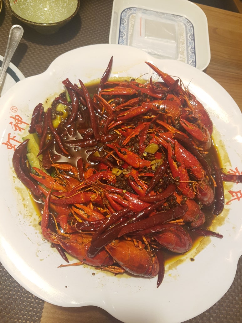 마녀의화원 이미지