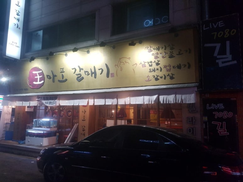 왕마포갈매기 이미지