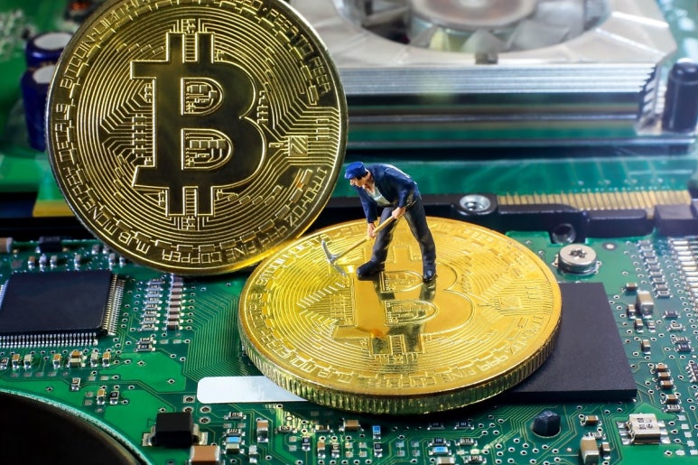 주식회사 위지트 이미지