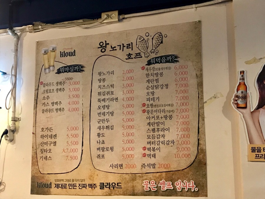 왕노가리호프 이미지